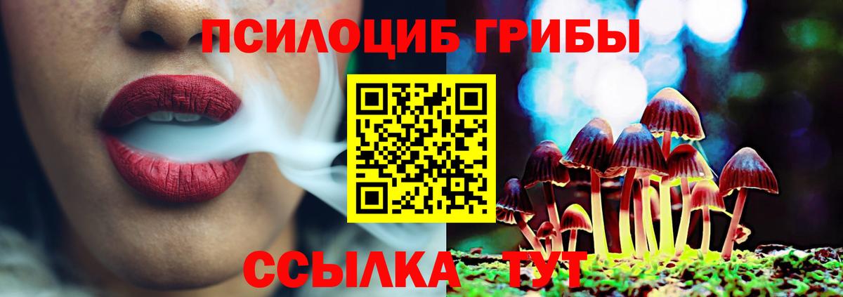 Галлюциногенные грибы Psilocybe  где найти   Отрадный  Вход с VPN 
